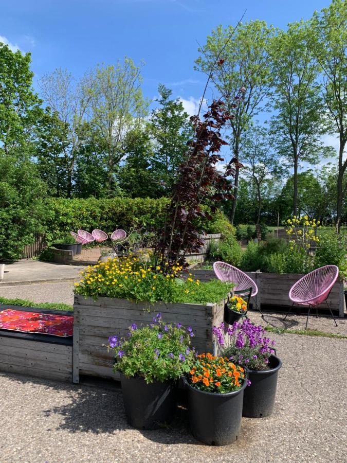 Bed and Breakfast Het Lage Noorden Marrum Exterior foto